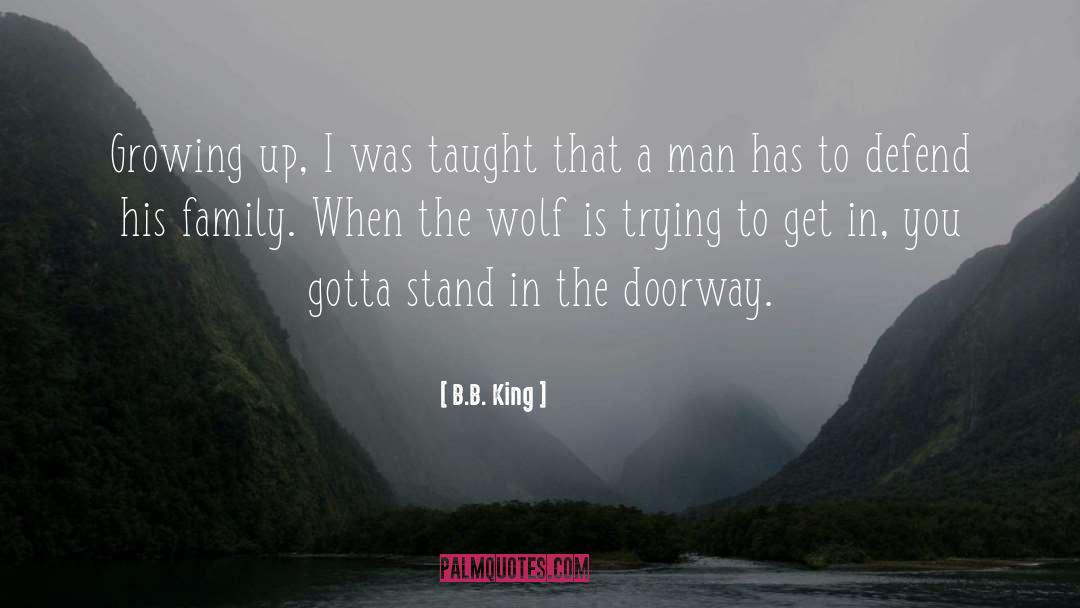 One Wolf quotes by B.B. King