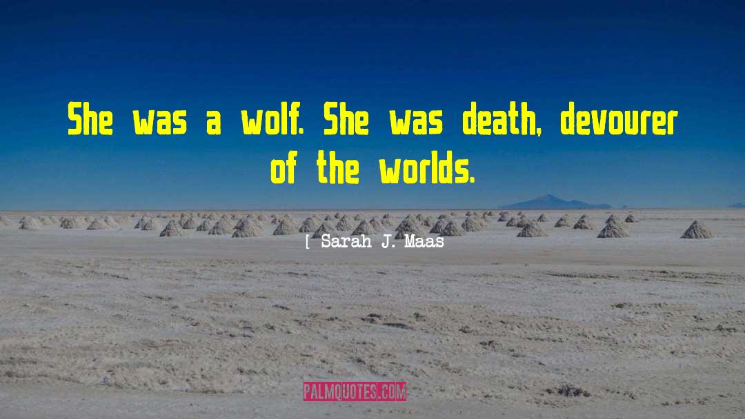 One Wolf quotes by Sarah J. Maas