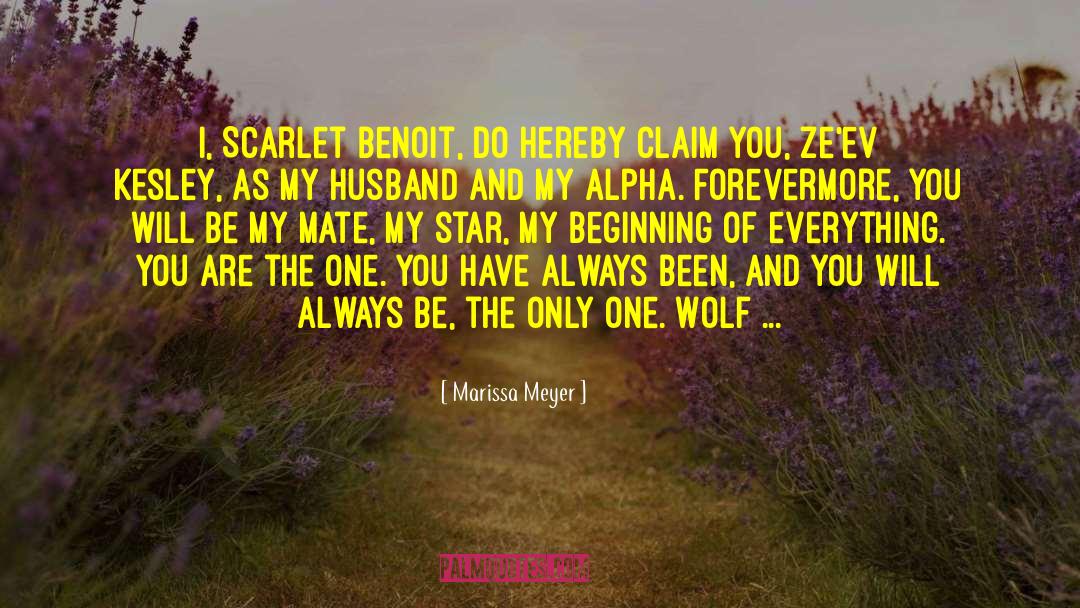 One Wolf quotes by Marissa Meyer