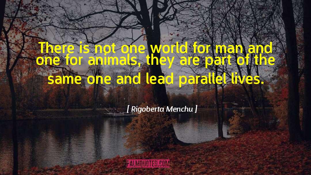 One World quotes by Rigoberta Menchu