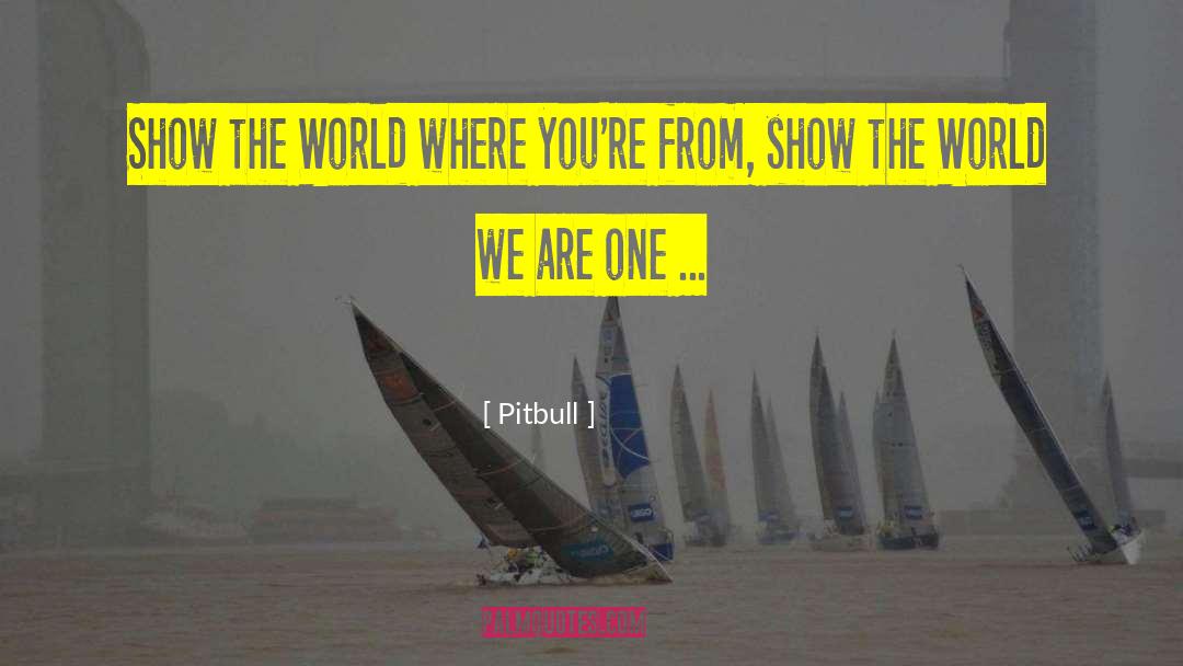 One World quotes by Pitbull