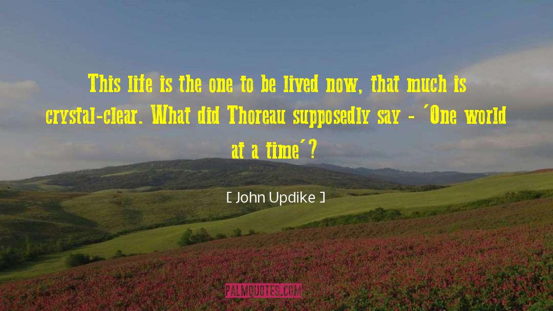 One World quotes by John Updike