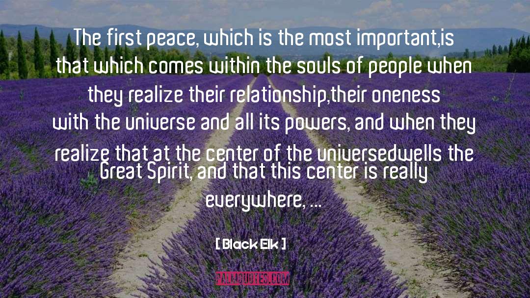 Oneness quotes by Black Elk