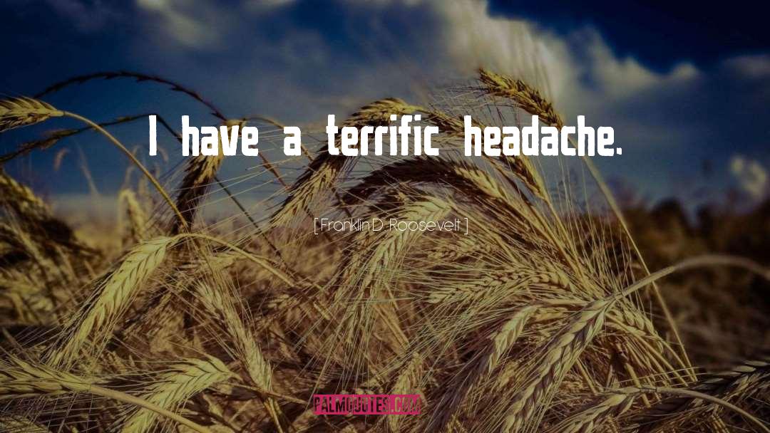 Ongoing Headache quotes by Franklin D. Roosevelt