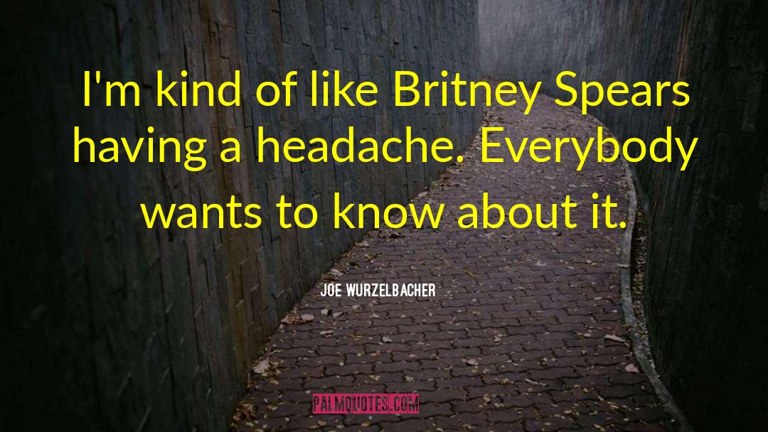 Ongoing Headache quotes by Joe Wurzelbacher