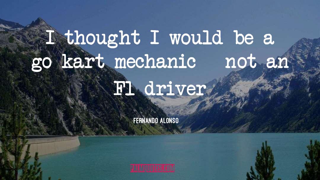 Online Mechanic Quote quotes by Fernando Alonso