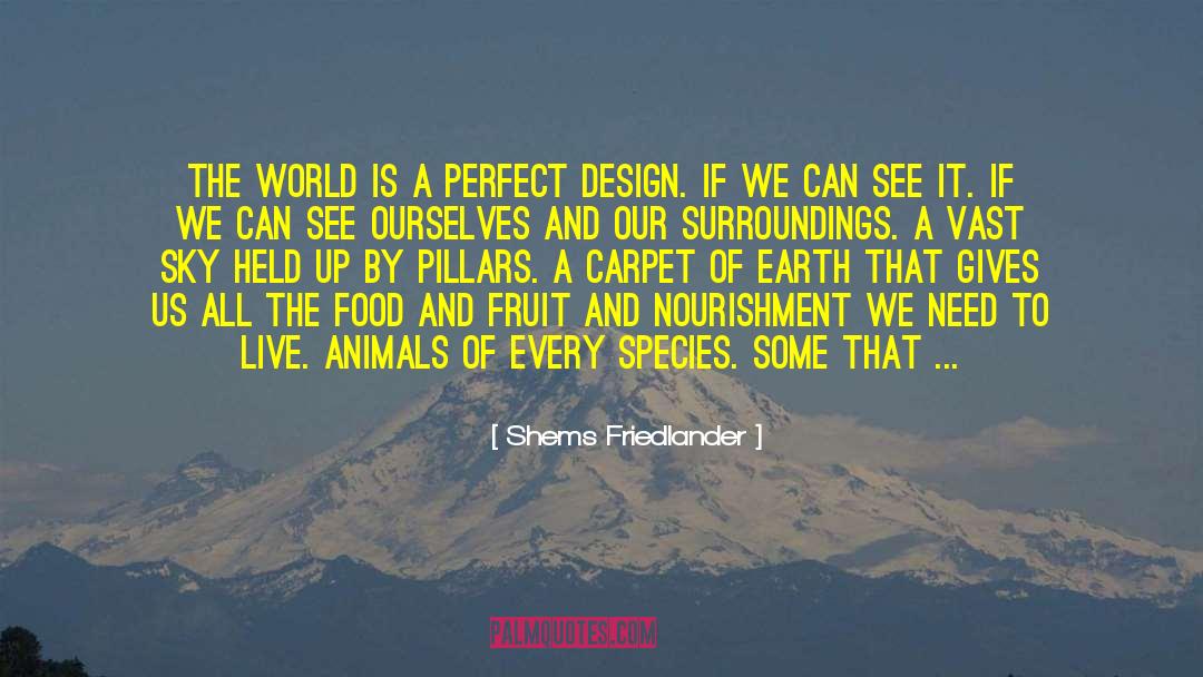 Only Allah Is Perfect quotes by Shems Friedlander