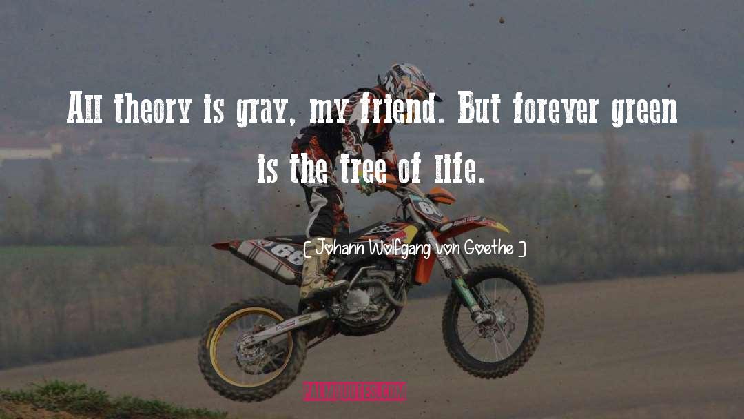 Only Friend quotes by Johann Wolfgang Von Goethe