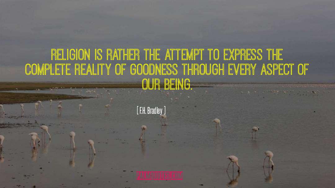 Only Goodness quotes by F.H. Bradley