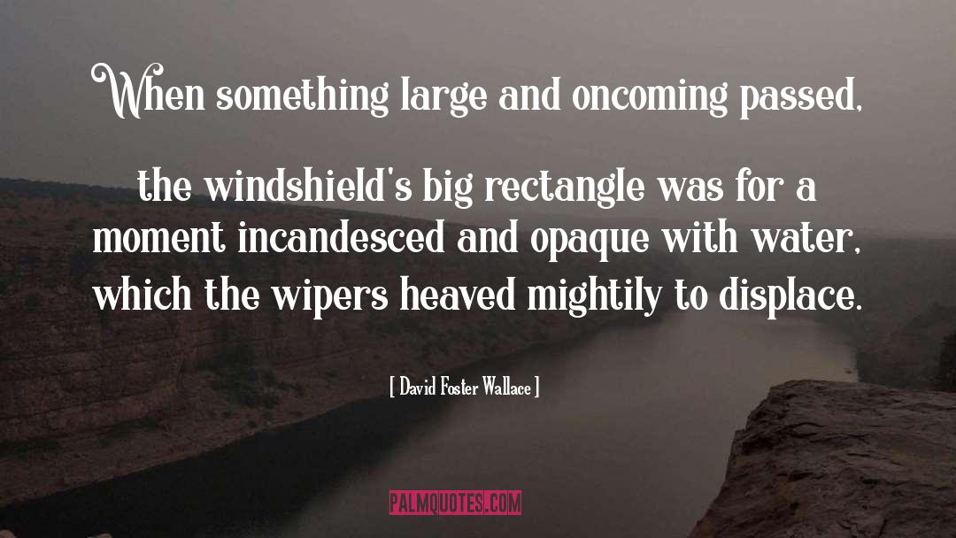 Opaque quotes by David Foster Wallace