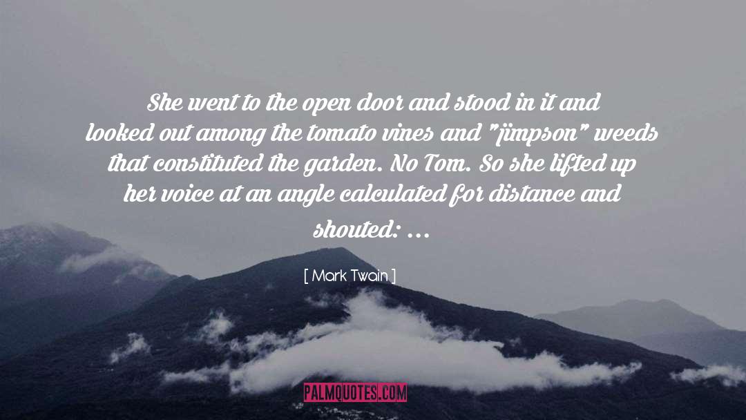 Open Door quotes by Mark Twain