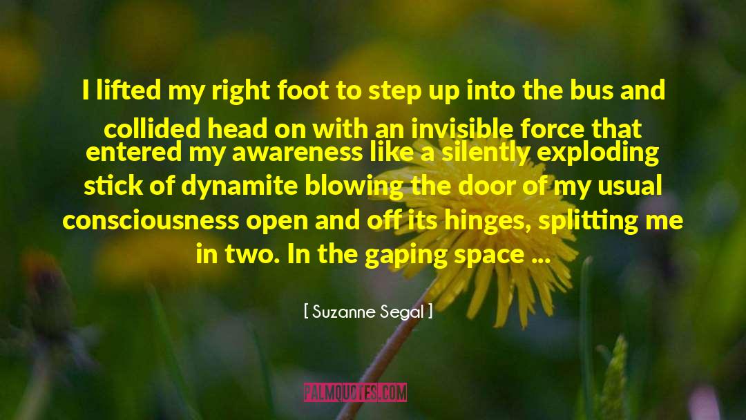 Open Marriage quotes by Suzanne Segal