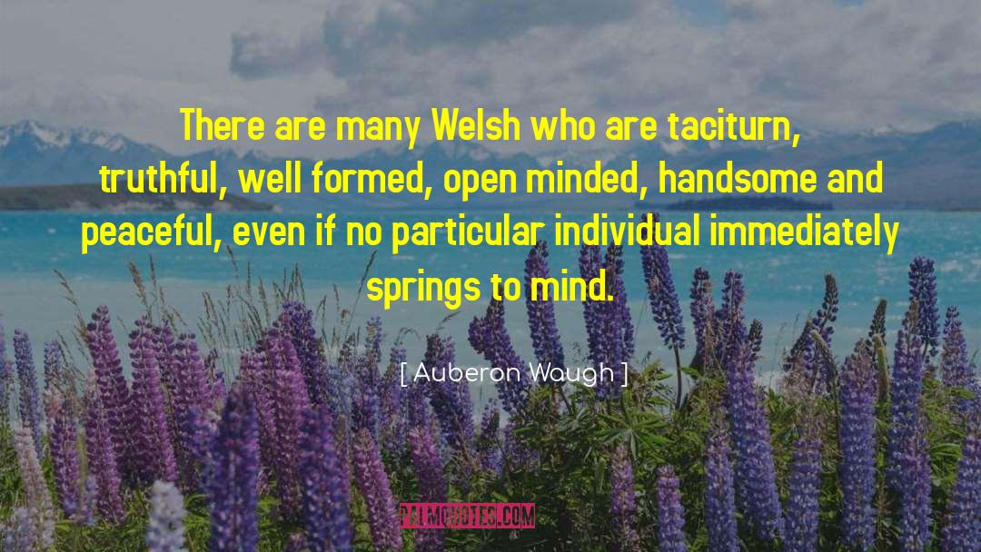 Open Minded quotes by Auberon Waugh