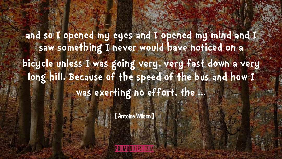 Open Road Open Skies quotes by Antoine Wilson