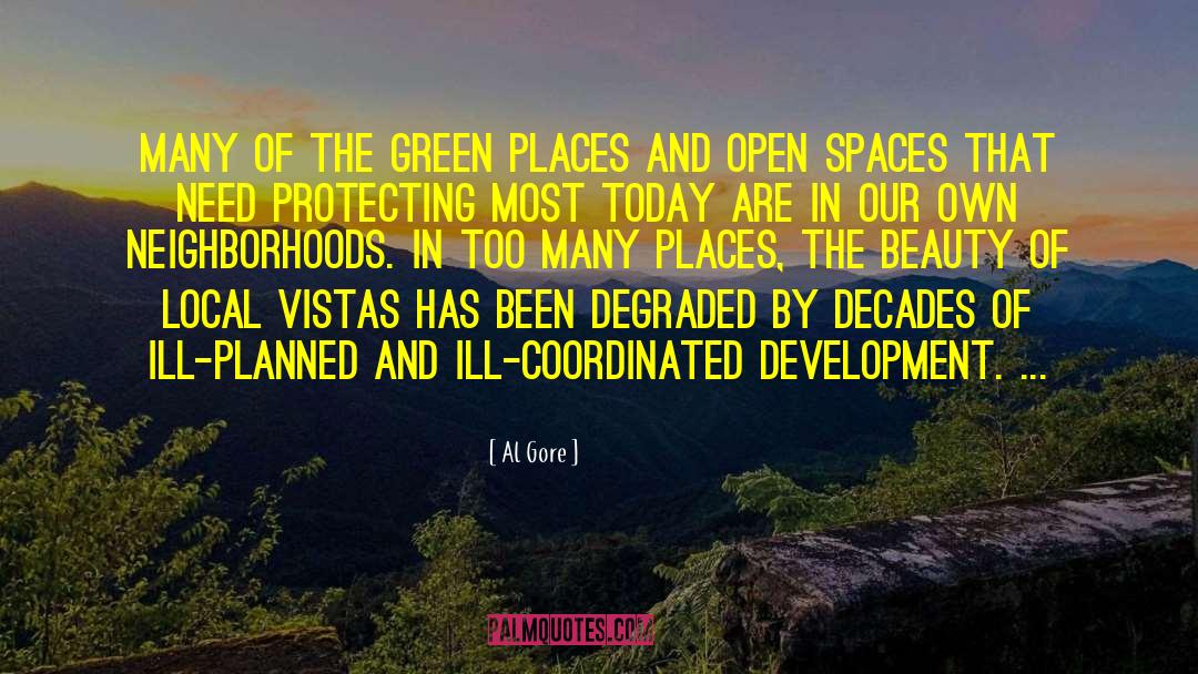 Open Spaces quotes by Al Gore