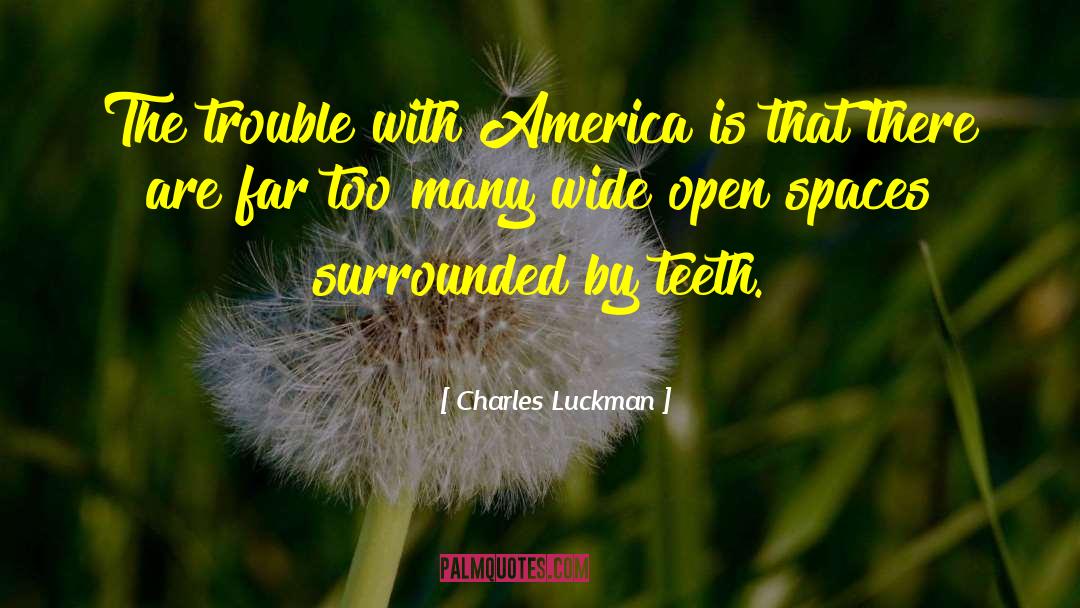 Open Spaces quotes by Charles Luckman