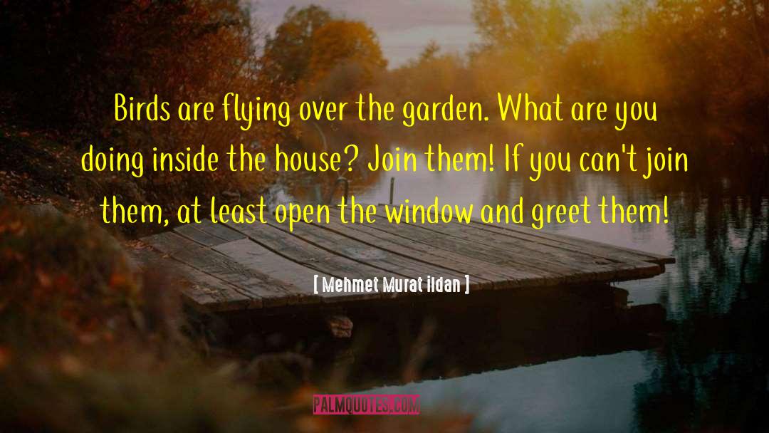 Open The Window quotes by Mehmet Murat Ildan