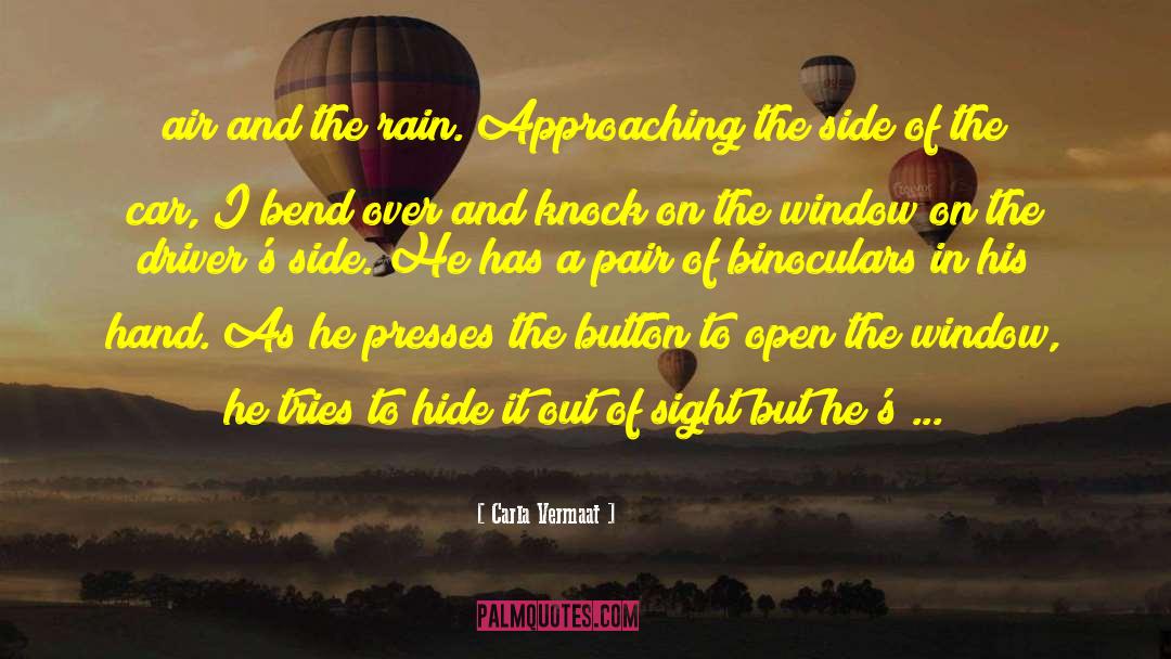 Open The Window quotes by Carla Vermaat