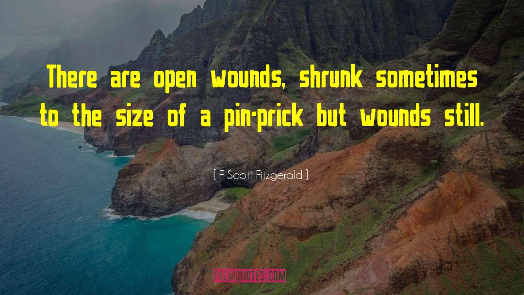 Open Wounds quotes by F Scott Fitzgerald