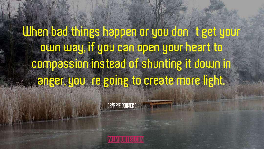 Open Your Heart quotes by Barrie Dolnick