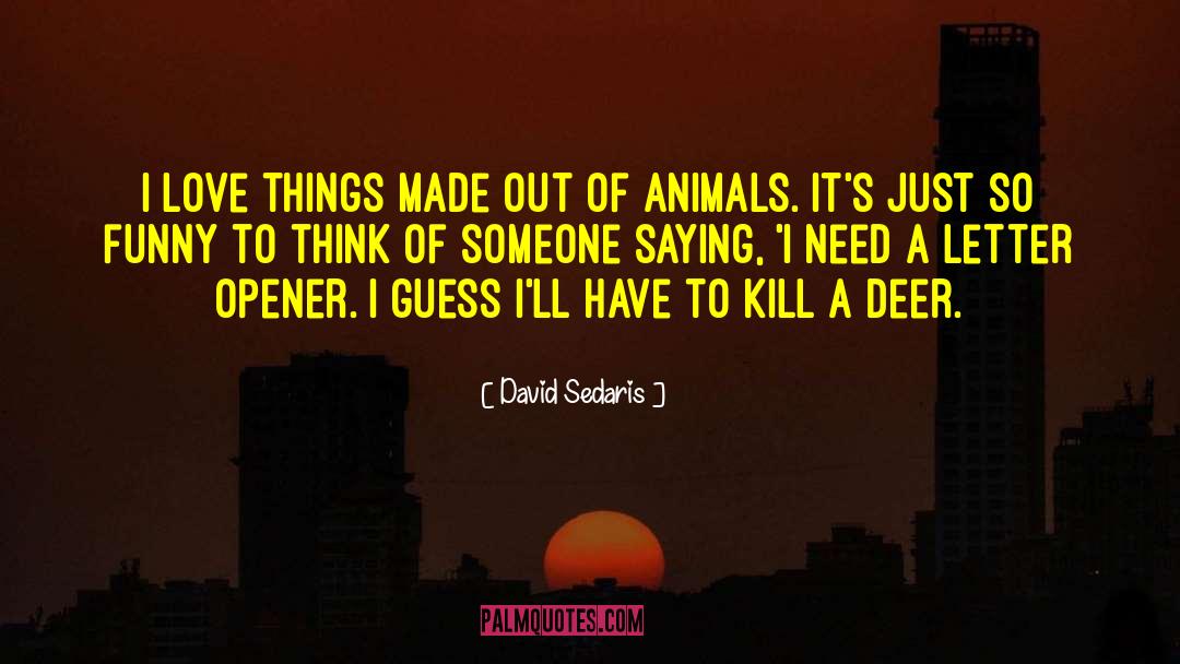 Opener quotes by David Sedaris