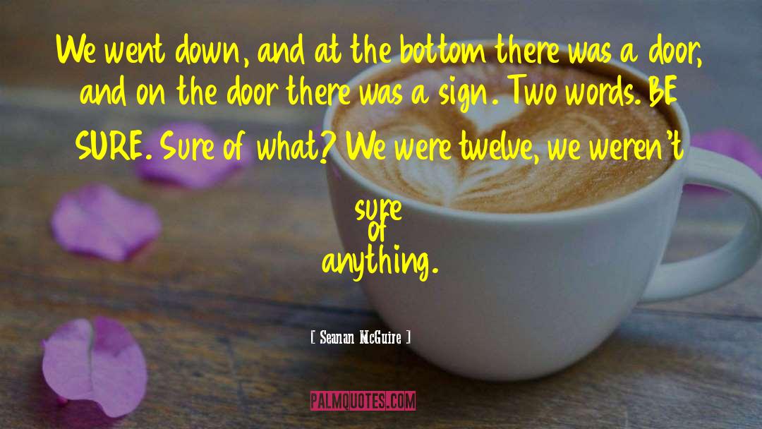 Opening A Door quotes by Seanan McGuire