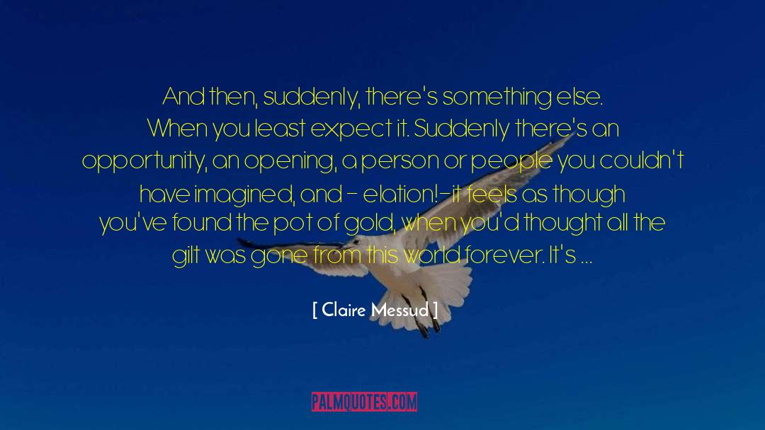 Opening Sentence quotes by Claire Messud