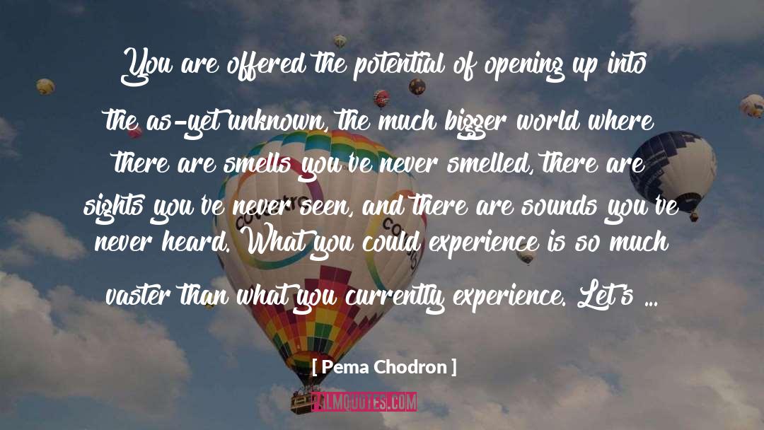 Opening Up quotes by Pema Chodron