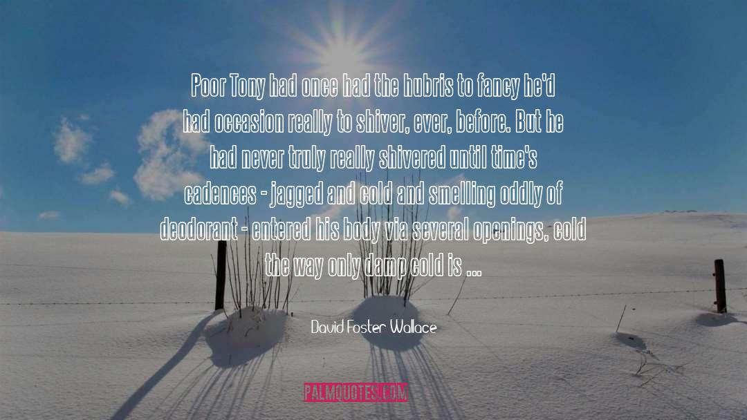 Openings quotes by David Foster Wallace