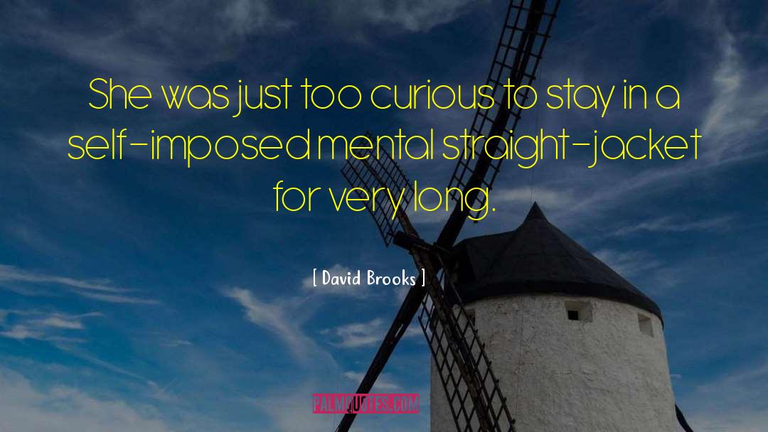 Openness quotes by David Brooks