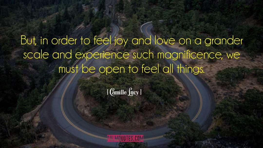 Openness quotes by Camille Lucy