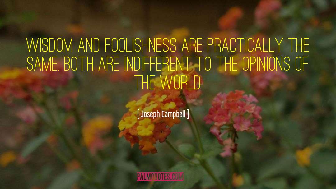 Opinion Of Others quotes by Joseph Campbell