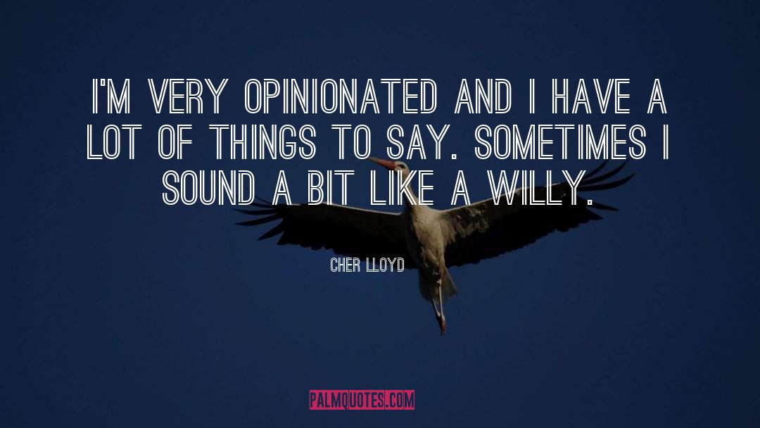 Opinionated quotes by Cher Lloyd
