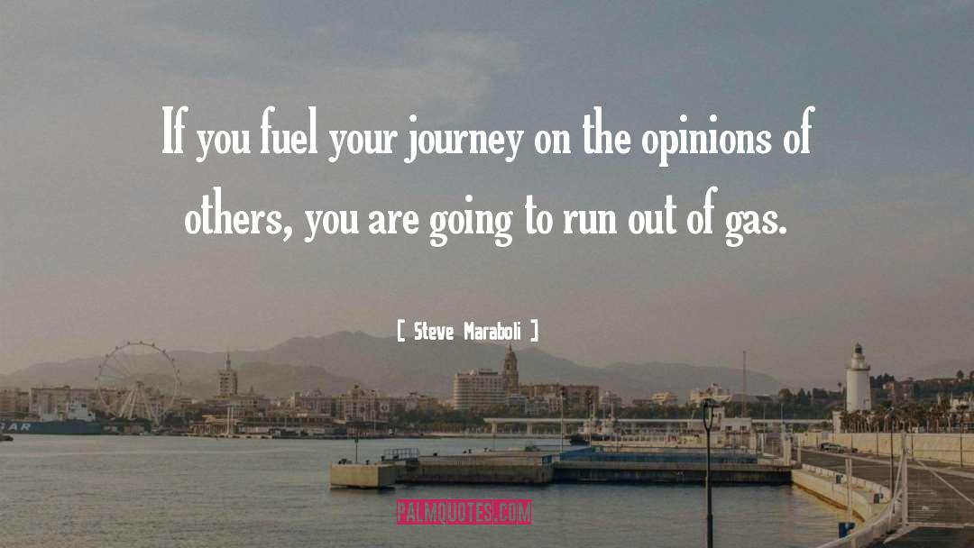 Opinions Of Others quotes by Steve Maraboli