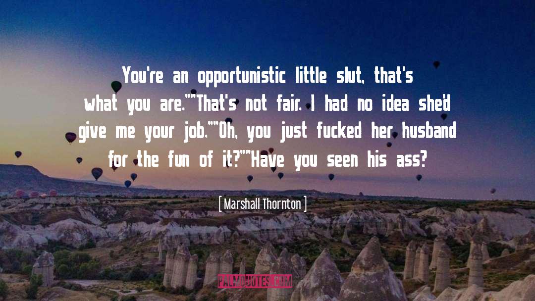Opportunistic quotes by Marshall Thornton