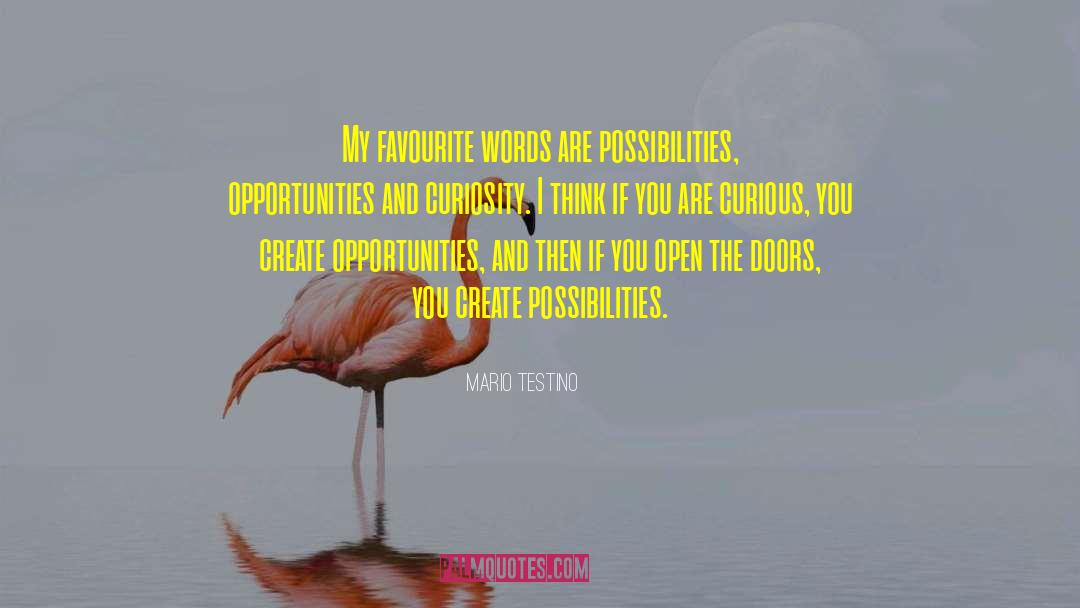Opportunities And Challenges quotes by Mario Testino