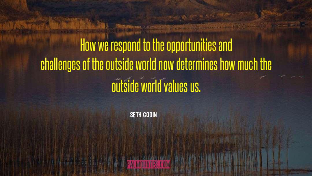 Opportunities And Challenges quotes by Seth Godin