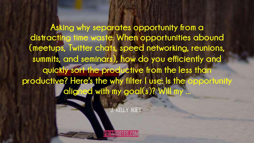 Opportunity For Success quotes by J. Kelly Hoey