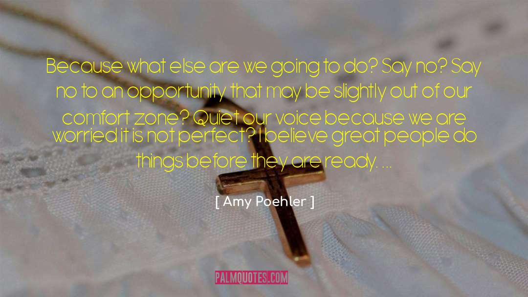 Opportunity To Succeed quotes by Amy Poehler