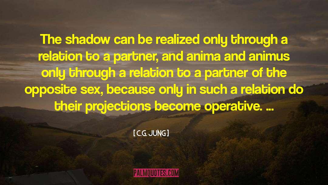 Opposite Sex quotes by C.G. Jung