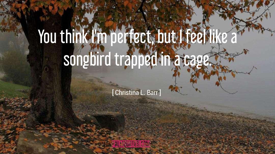 Opposites Attract quotes by Christina L. Barr