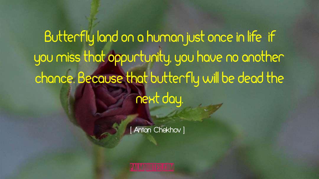 Oppurtunity quotes by Anton Chekhov