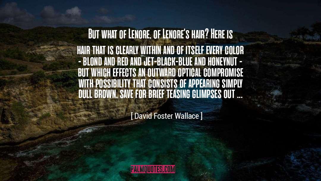 Optical Delusion quotes by David Foster Wallace