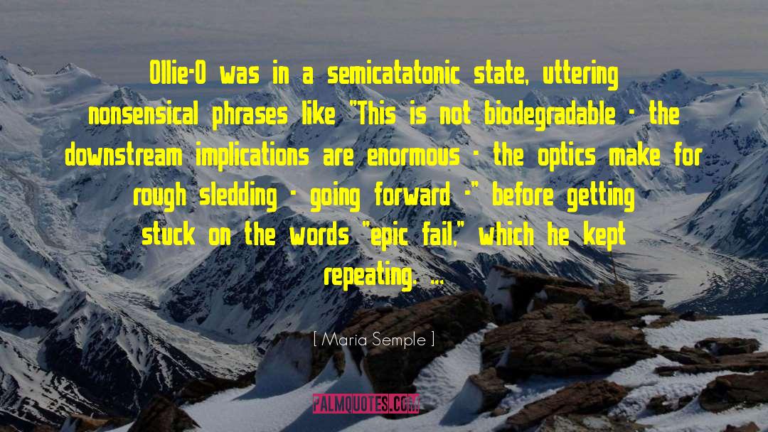 Optics quotes by Maria Semple