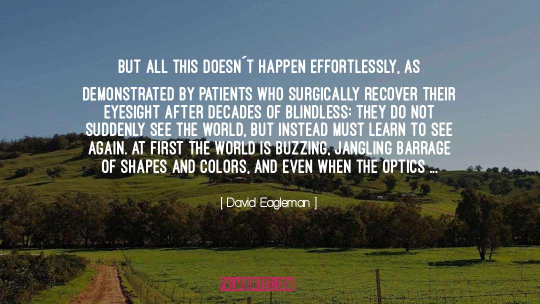 Optics quotes by David Eagleman