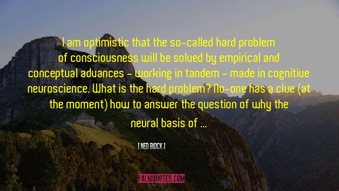 Optimism And Pessimism quotes by Ned Block