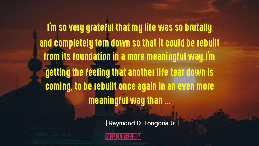 Optimism In Life quotes by Raymond D. Longoria Jr.