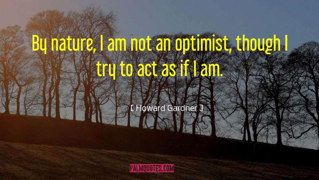 Optimist quotes by Howard Gardner