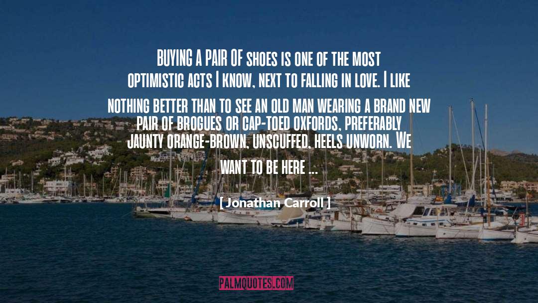 Optimistic Love quotes by Jonathan Carroll