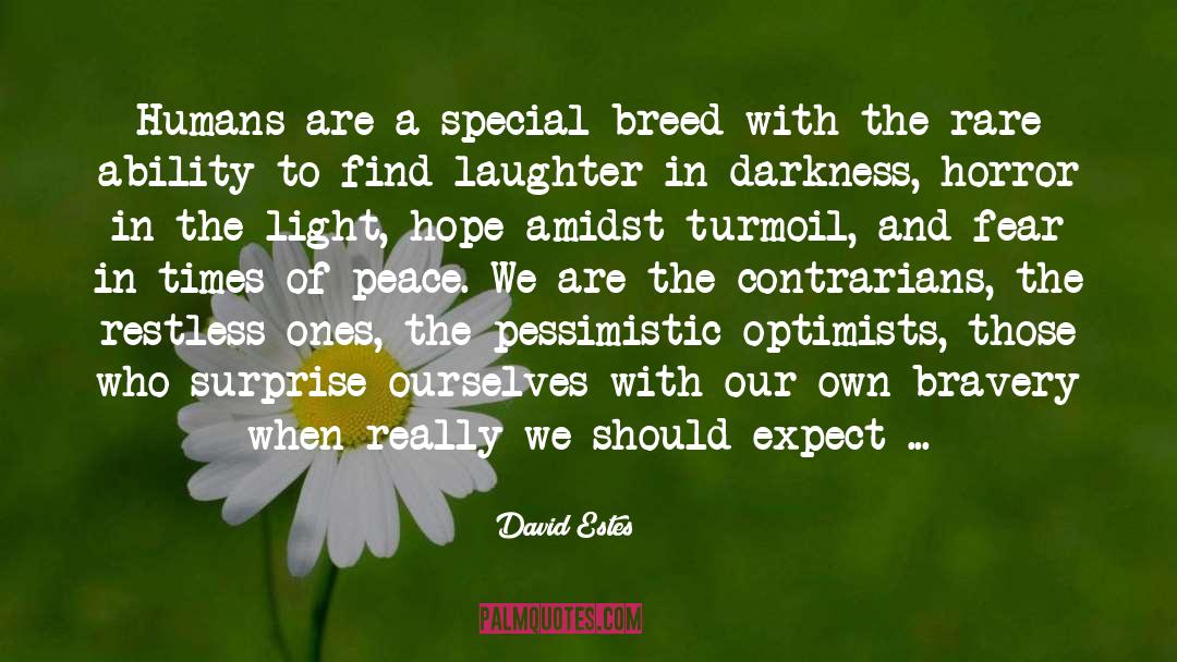 Optimists quotes by David Estes